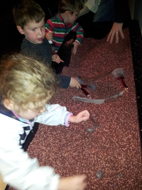 Australian Museum Palaeontologist