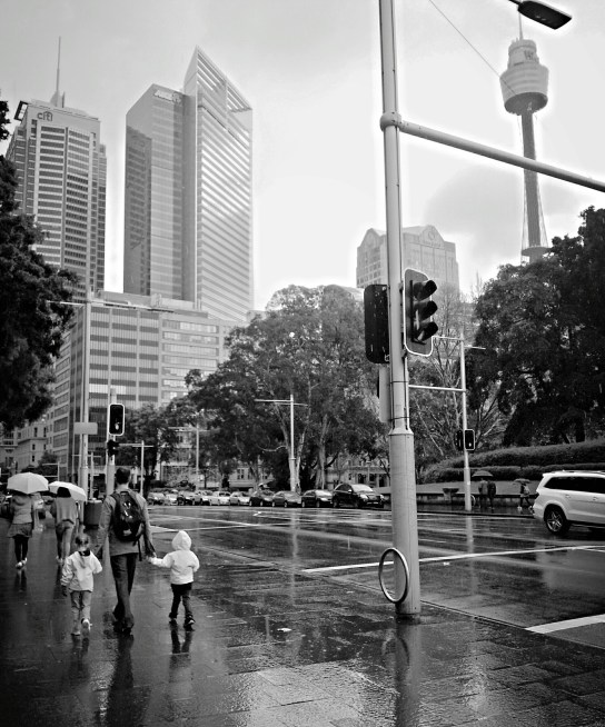 Rainy Sydney