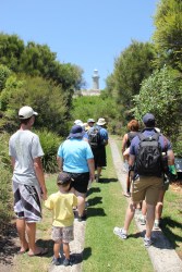 Track to the lighthouse