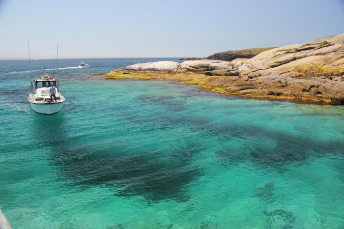 Montague Island wharf