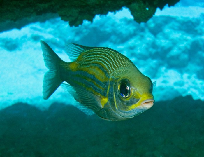 5451017827_b2604e08af_b