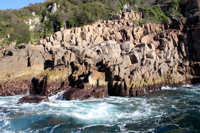 Can you spot the seals?