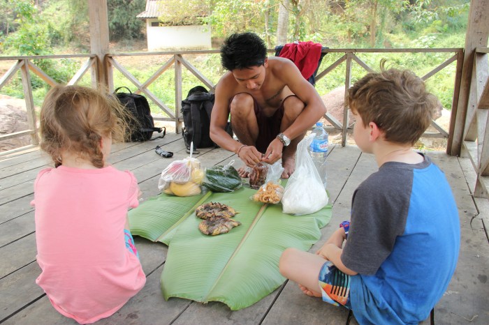 Nam nyon waterfall Huay xai