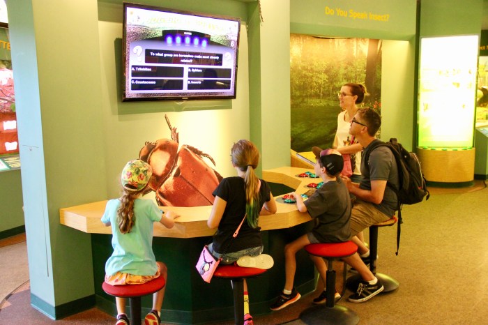 Cockrell butterfly center