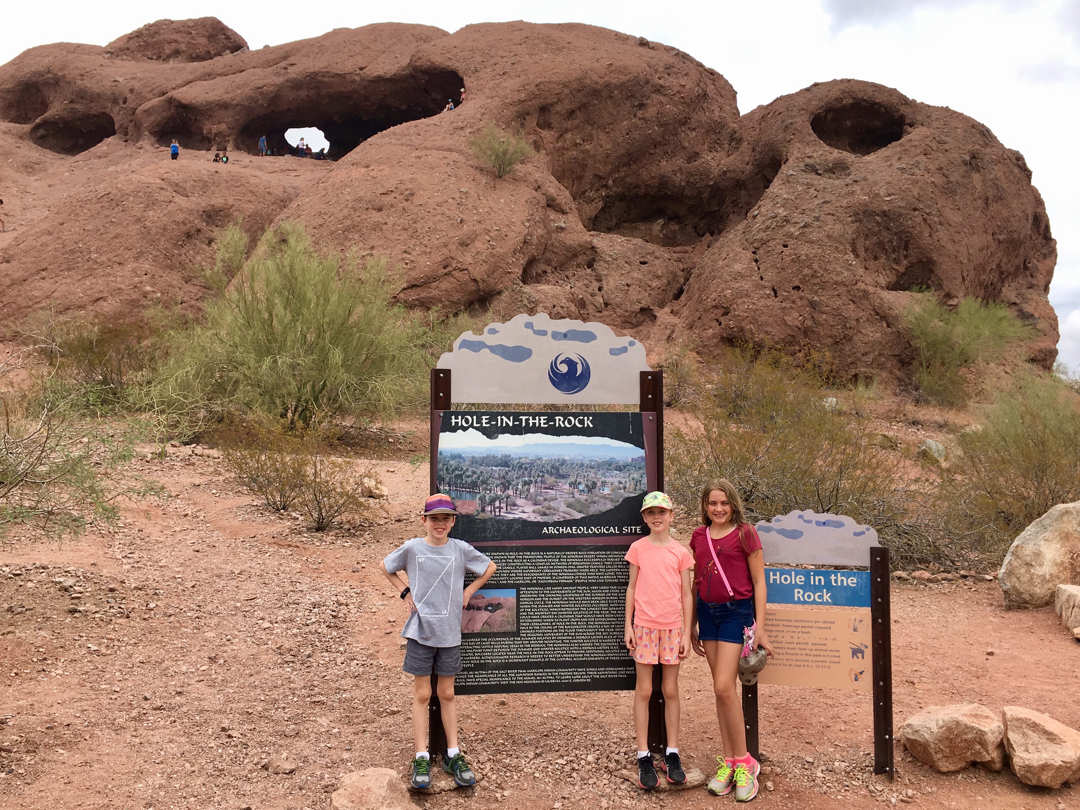 005A0B31-6FBB-4C61-8185-D1CDF6592675