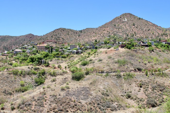 0D0C8B2B-A0C4-44EF-898B-19B2495C0502