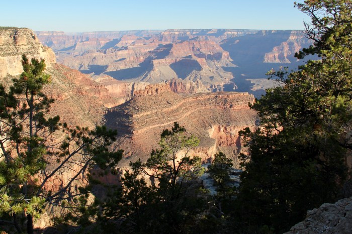 25CFBF1C-5D93-4B00-BDFC-3FAF4B9159B8