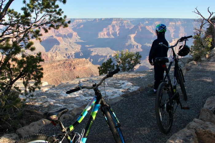 32D3056B-252E-4731-8E5B-7959B35FEDA8