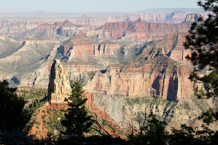 61EC9CC2-8873-4293-8B0D-943D8B02BAEF