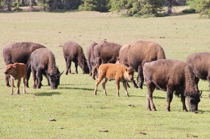 7B26D970-A233-4A46-812D-0EAFB80B7DDB