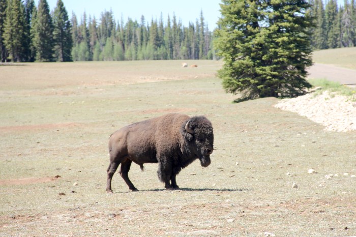 871CAE7A-FA5A-420E-BB15-283F48D49BA0