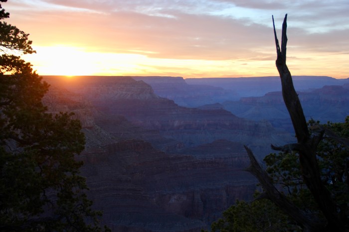 8FE7E15C-C53C-447E-9E4B-D42C9FABE508