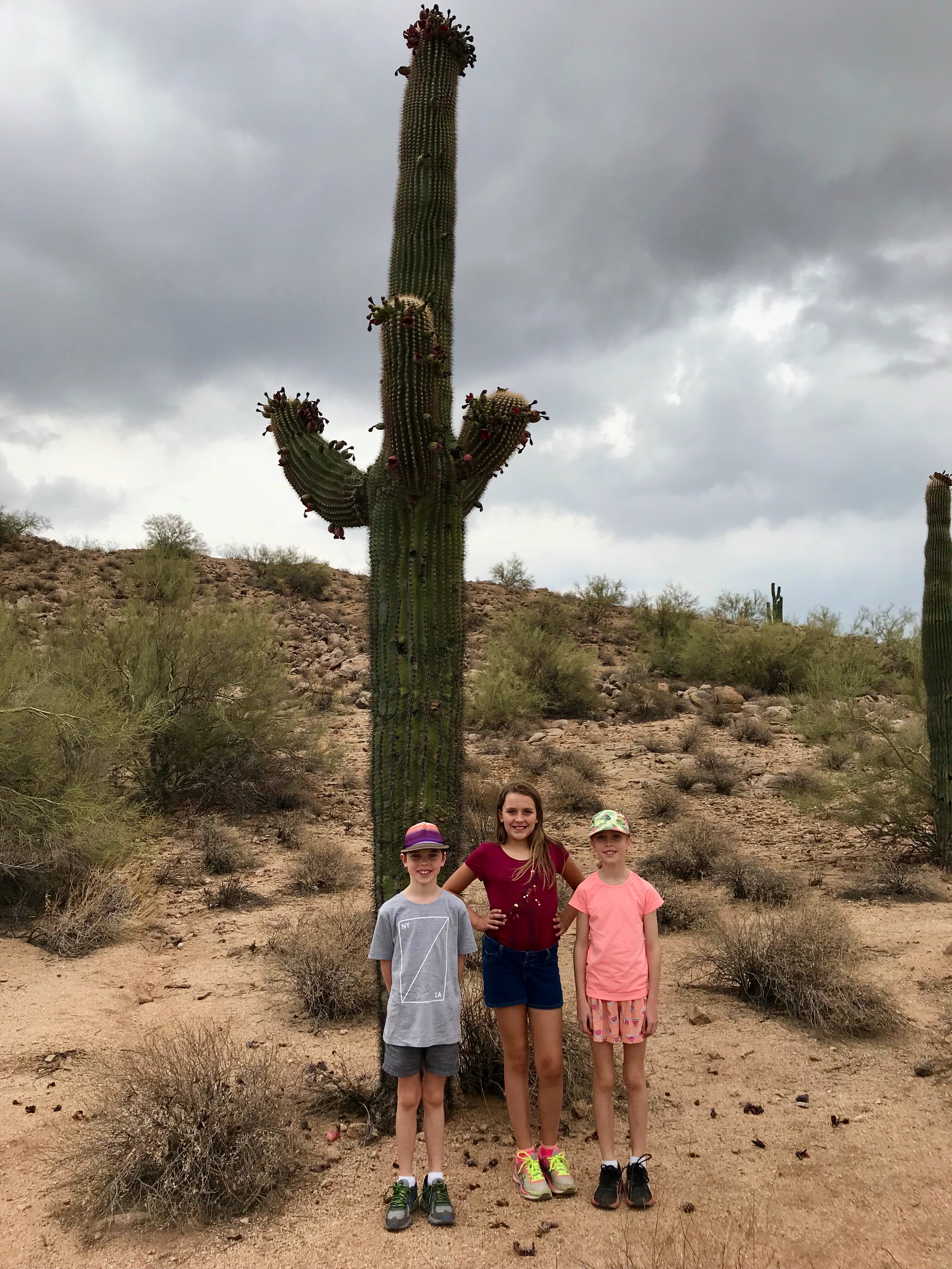 A2542448-6895-46EA-A996-5284590F8AB4