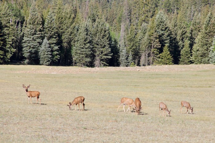 AC28E8F4-7946-47C0-A4AC-8CB78E4E51F8