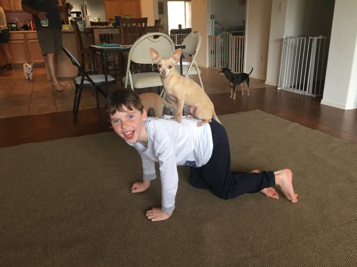 AFC25FC6-688E-4C13-BCBF-A36F6325DE6C