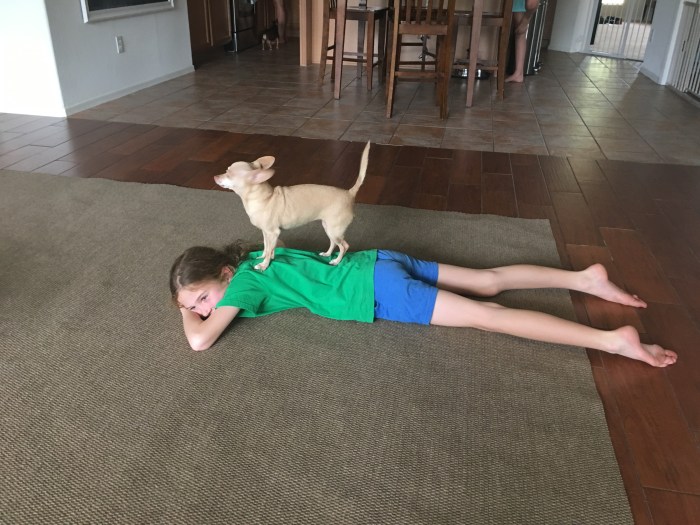 CC7B576F-C1F9-4B9F-816E-E485DF4472BB