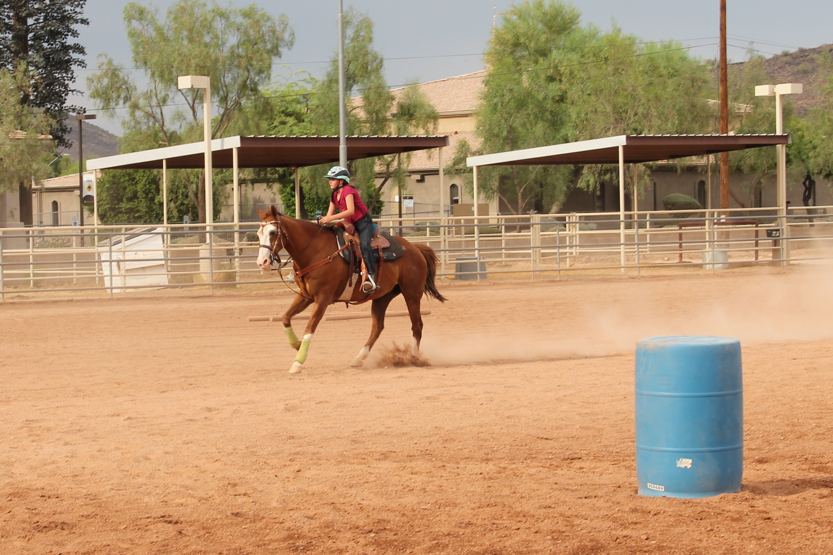 D7919234-03F0-4D9A-A1C5-AD03981DE5C2