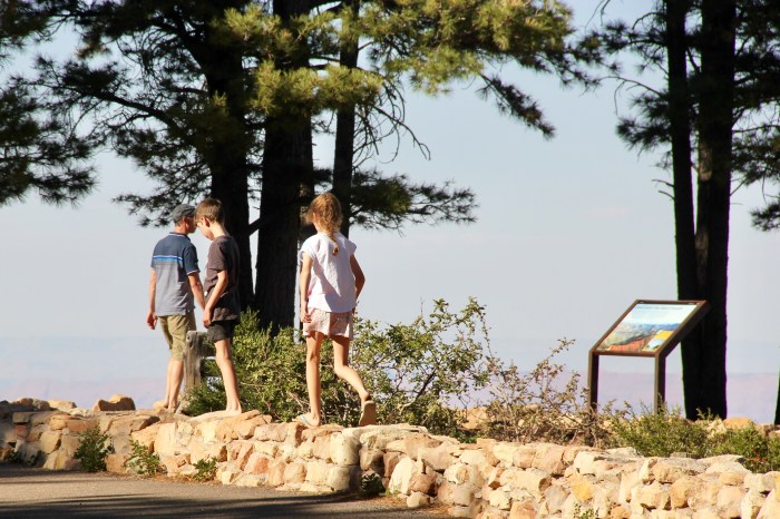 FC11740A-F81F-45CF-A95B-B20AFE49BB71