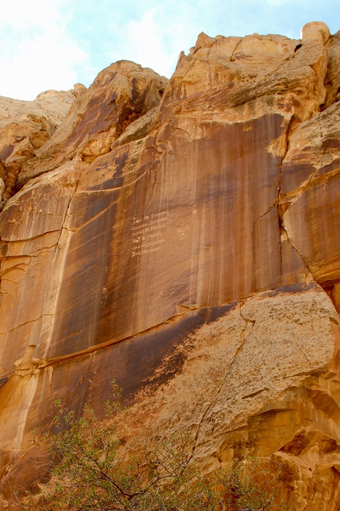 0045666E-D01D-46C8-B759-BE38EEF1C434