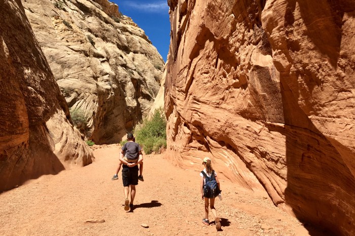 0CA96EF9-742D-4475-80E7-0B57B98D1B72