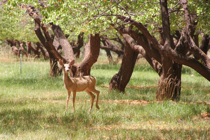 11666288-8EA2-4461-A1D3-3313CD96AA04