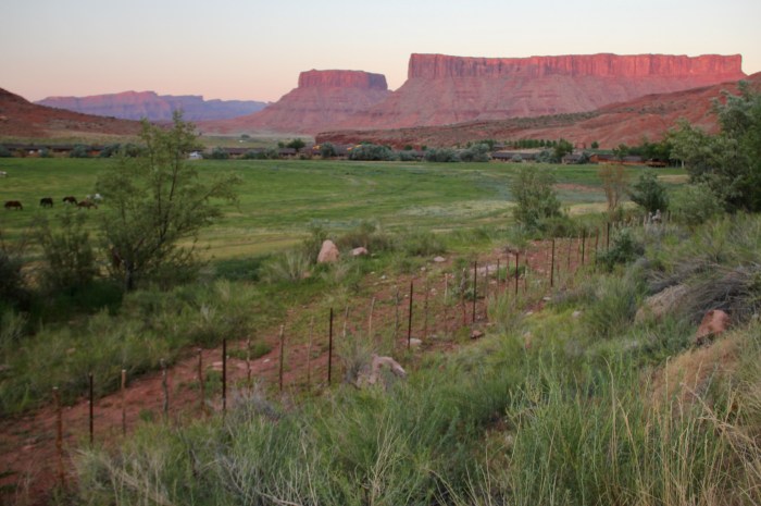 15334BF1-4E8D-4E59-83AF-70EE35234BF9