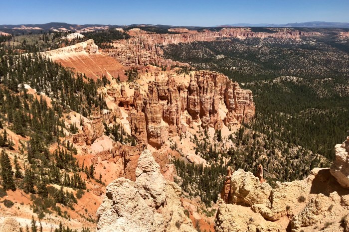 183A9106-F244-482D-8CDB-577A801CC30B