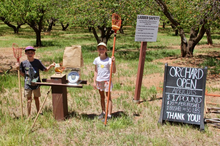 27B5A7C7-86C2-49AB-A634-1893D057F119