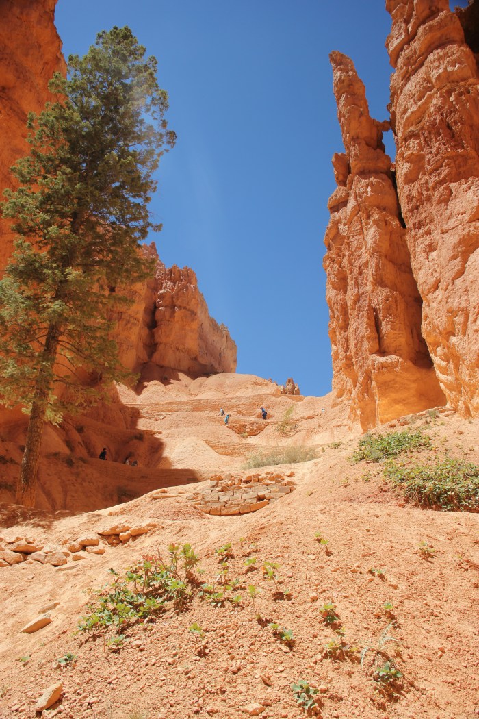 3DEFB2D6-227B-46F1-9E51-BA790A6981F4