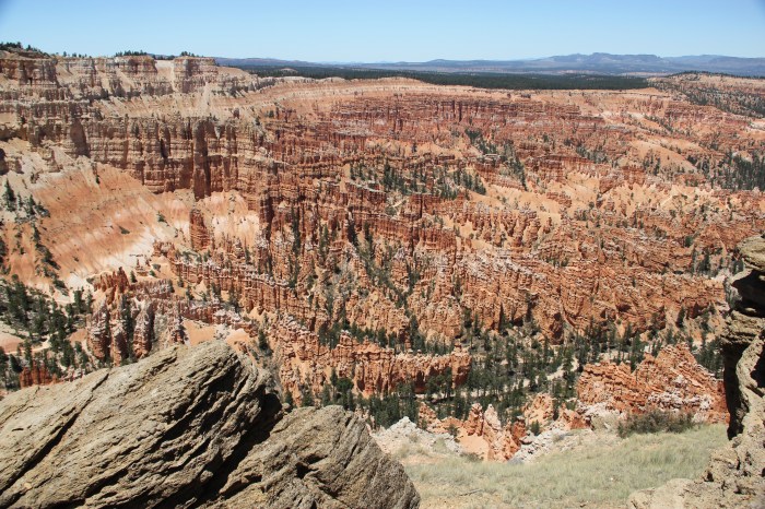 41459C0F-948C-494B-B572-15E5C2A872B1