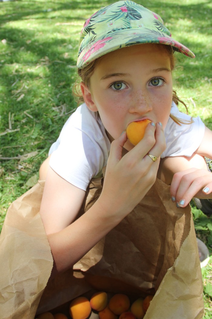 423A9784-F101-4184-AF6B-7E9076C1580D