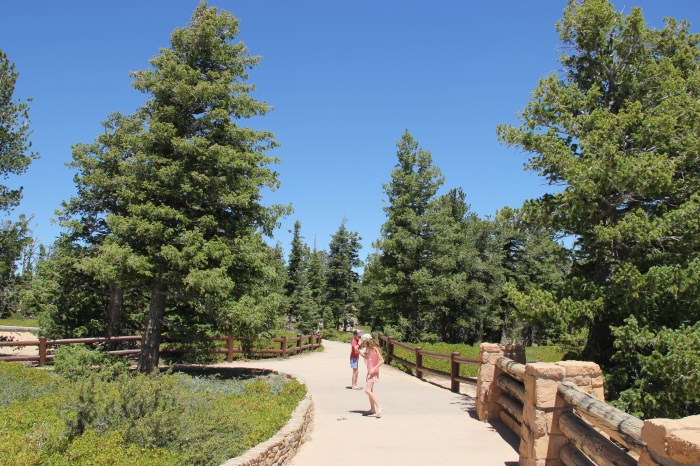 4CC2A25B-6F43-4B8A-A135-0A1520756873