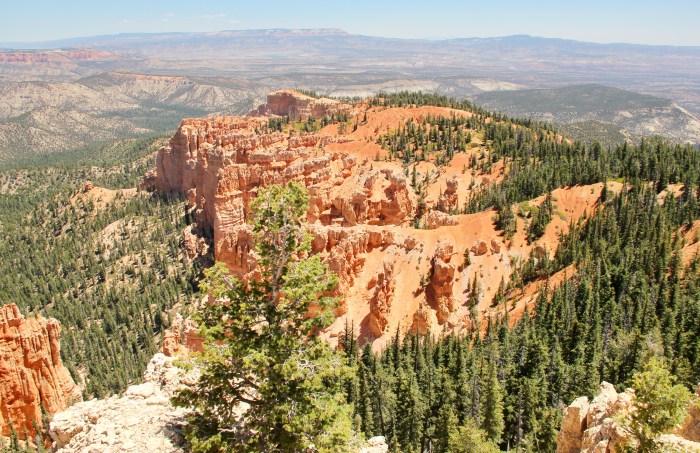 60B853DB-8B9A-43E7-A499-FB1427CA5F09