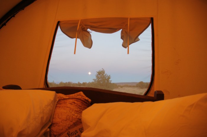 60C7B56D-F8D3-49F4-BF22-4C8A35FE376E