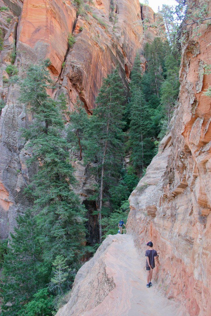 63939513-2373-4C1E-AA03-6EF813200071