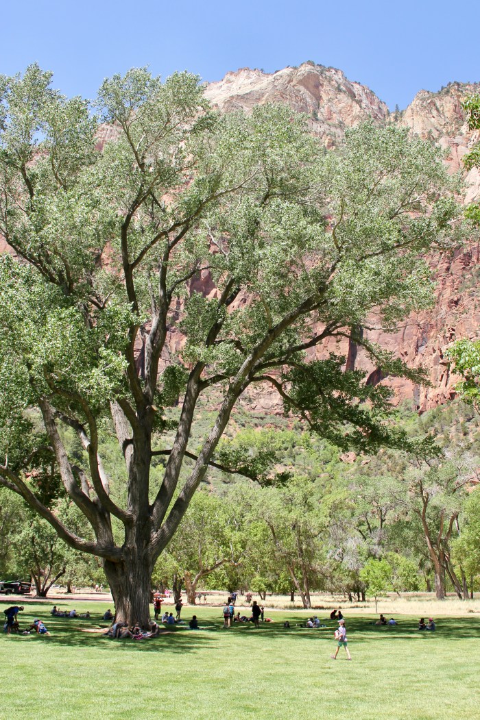 7506D94A-8329-4EDB-9C72-DFBACB93150F