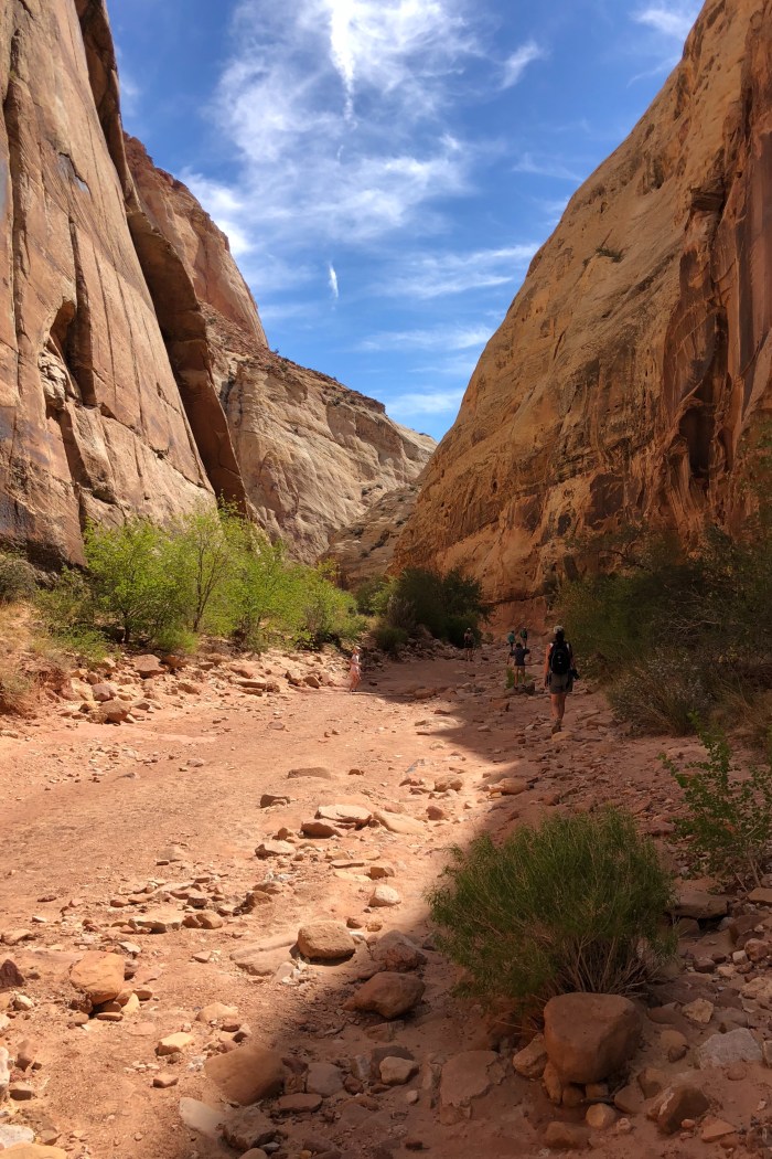 7BA427FD-0A0D-46B6-8141-E245A37AC978