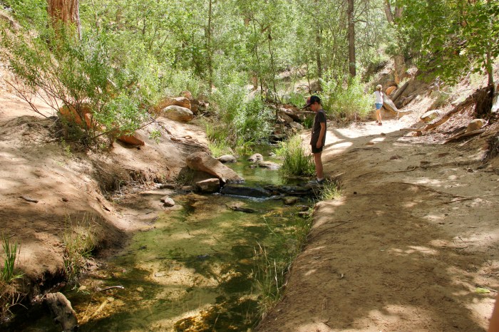 81773A80-7ABF-4EF5-9609-A5258371637F