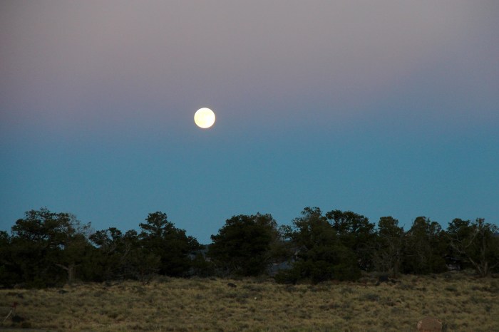 846B3B01-553D-4F28-891C-3F03DE3D8206