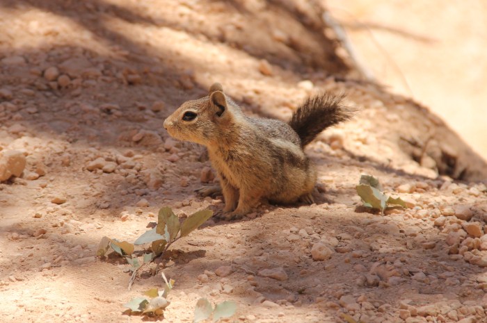 8977F0F6-3296-4737-920F-C5F4C7948101