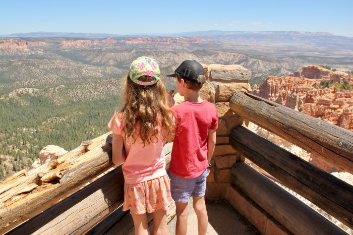 9495F6C3-D422-4EC4-8A3E-8D7717DD9202