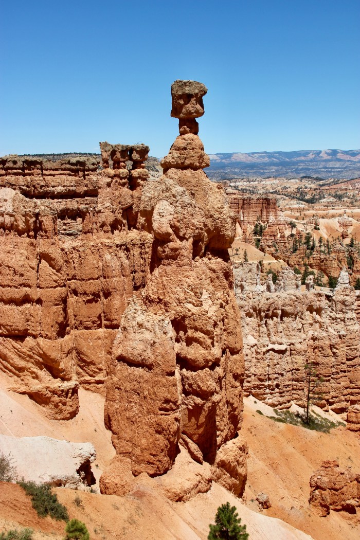 D7363455-F410-4EB0-A92C-2B9C15619D93