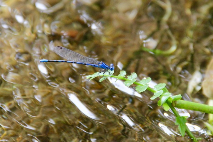 EEFC9C5E-ECD4-4EA3-9D5D-F8C51AFE57D7